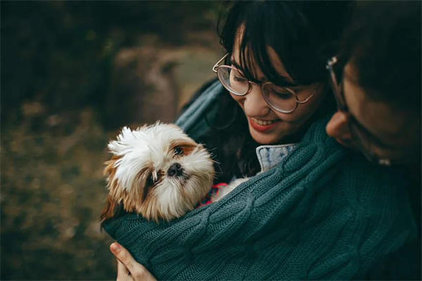 犬のうんちの回数はどれくらいが普通？子犬・成犬・老犬の目安と健康サイン